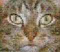 The cat mosaic was made from the fauna theme stamps collection.