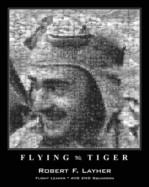 Flying Tiger mosaic by Jim Lammers