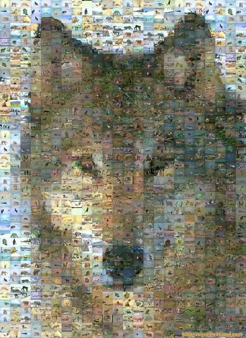 Wolf mosaic(mid size)