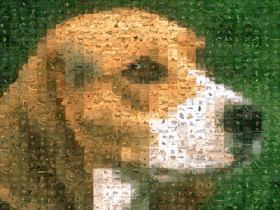 Color Correction 90.