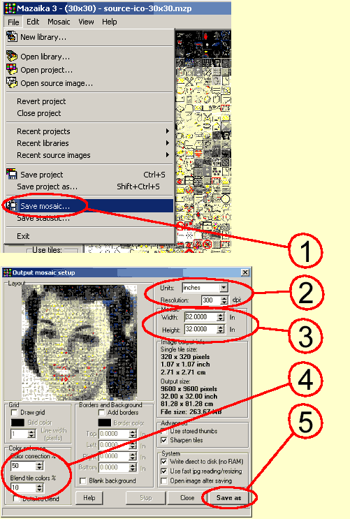 Step-by-step: Save mosaic.