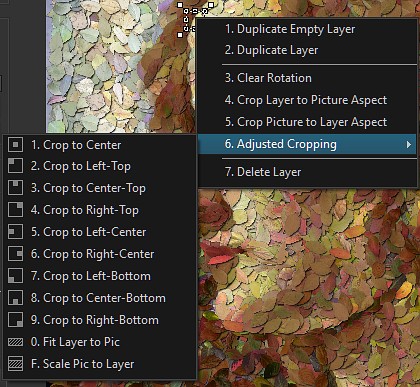 Main Image Additional Popup Menu.