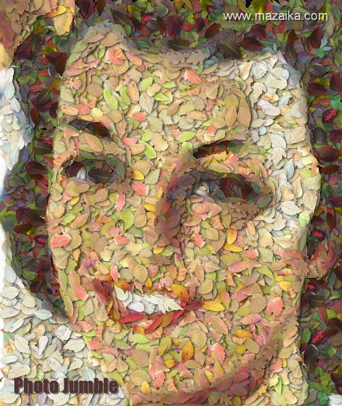 Photo Jumble picture example