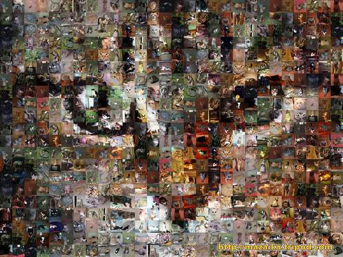 Mosaic Cat from amateur cat photos