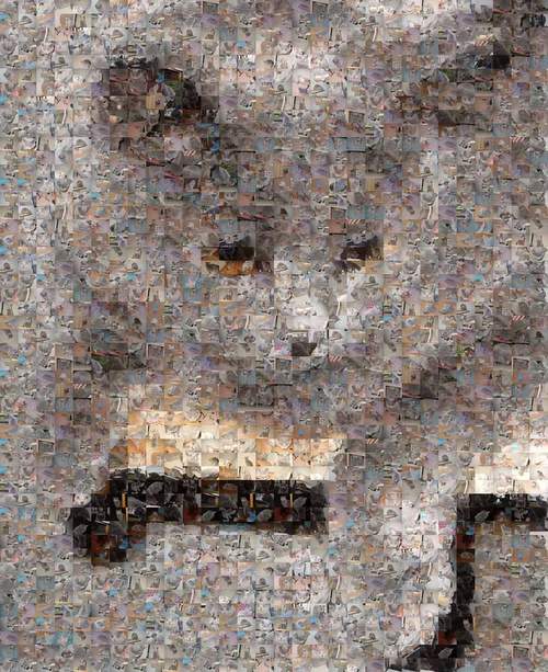 Cat mosaic by Glenn Dickins