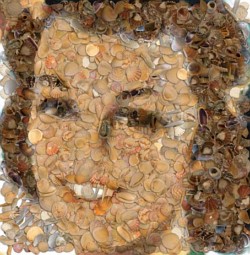 Before Layer Sorting.