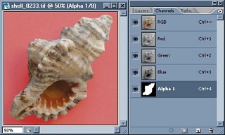 Transparent Tiff in PhotoShop