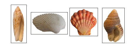 Bad library, images have different proportions