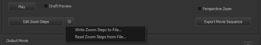 Export/edit/import zoom sequence 